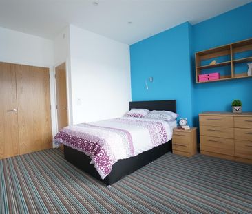 50 Holyhead Road - Photo 4