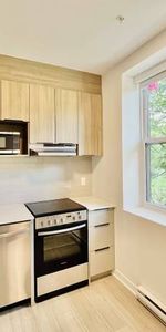 New 3 Bedroom Downtown Montreal ** Brand New Building ** - Photo 4