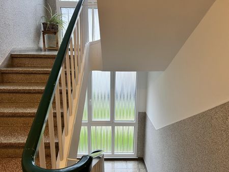 Renovierte 2-Zimmer-Wohnung mit Balkon, Keller und Gartennutzung - Photo 5