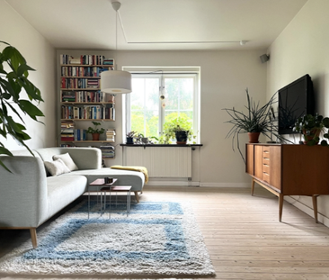 Gunnarstorpsgatan, Limhamn - Photo 2