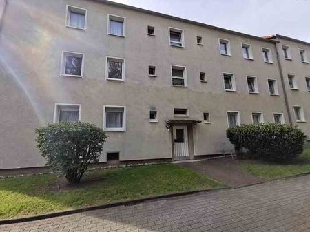 Gemütliche 2 Zimmerwohnung in Feldmark - Foto 5