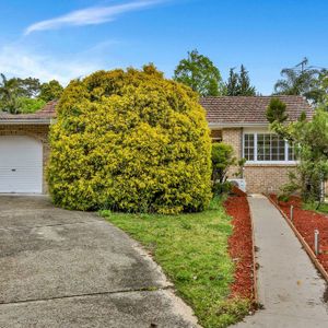 27 Brown Street, Forestville, NSW 2087 - Photo 2