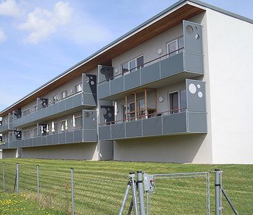 Wohnung in Neudorf im Weinviertel - Photo 1