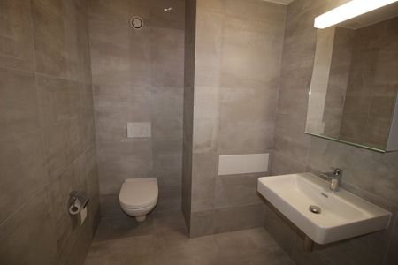 Magnifique et spacieux logement de 42 m2 avec terrasse privative - Foto 3