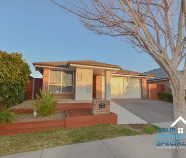 12 Bartlett Street, Oran Park, NSW 2570 - Photo 3