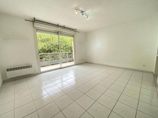 Location appartement 1 pièce 29.19 m² à Montpellier (34000) - Photo 1