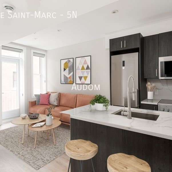 2205 Rue Saint-Marc - 5N - Photo 1