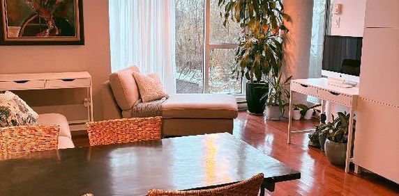 Colocation - chambre a louer - Photo 2