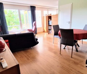 APPARTEMENT 2 PIÈCES À WORB (BE), MEUBLÉ, TEMPORAIRE - Photo 1
