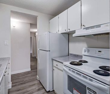 Renovated Suite - 2 Bedroom - Photo 4