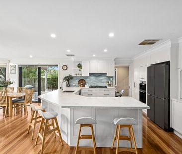 24 Corymbia Circuit, Frenchs Forest NSW 2086 - House For Rent | Domain - Photo 1