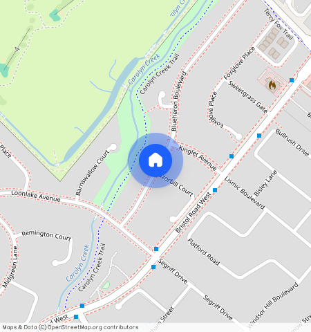 189 Shadow Wood Crt, Waterloo, N2K 3W4