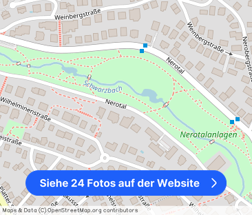 Nerotal, 65193 Wiesbaden - Foto 1