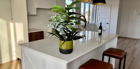 Lumineux 4 1/2 neuf - situé à St-Narcisse - Photo 2