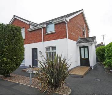 1 Muskett Grove, Carryduff, - Photo 4