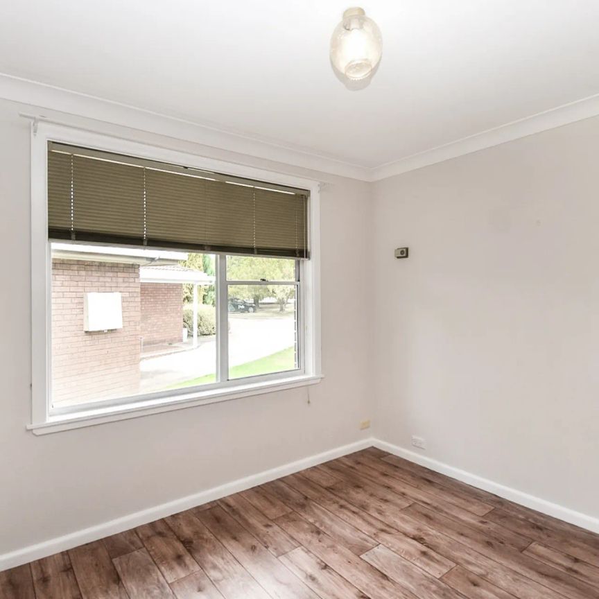 Quiet Comfort in South Orange - Photo 1