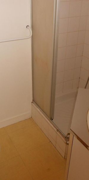 Location Appartement 1 pièce 23m² ANGERS 49000 - Photo 1