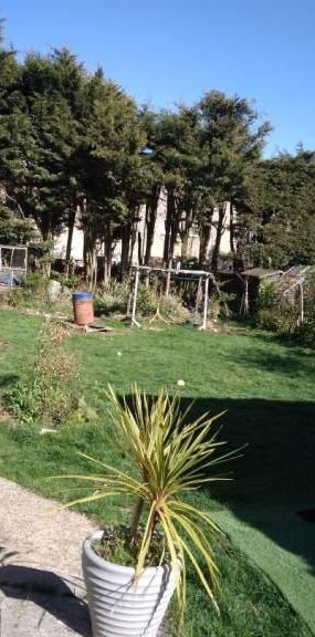 2 bedroom house share to rent - Photo 1