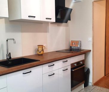 Location Appartement 1 pièce Meublé 35m² ALBERTVILLE 73200 - Photo 5