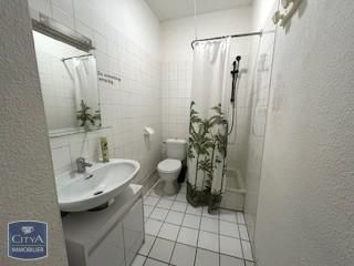 Location Appartement 1 pièce 29m² GRENOBLE 38000 - Photo 4