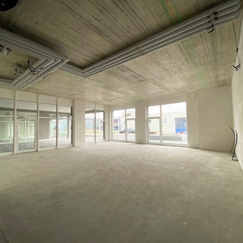 Zentrale Wohnung mit moderner Ausstattung - Foto 1