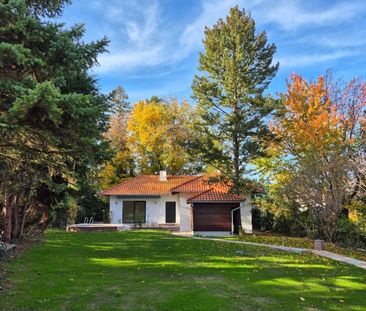 WUNDERSCHÖNER BUNGALOW MIT GROßEM GARTEN, POOL & SAUNA! - Photo 2