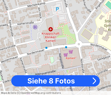 Aussergewöhnliche Wohnung in zentraler Lage - Foto 1