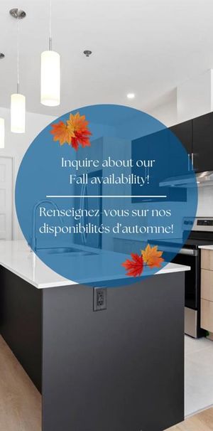 1 Bedroom + Den - 790 Sqft - 350 Boulevard De L'Amerique-Francaise, Gatineau - Photo 2