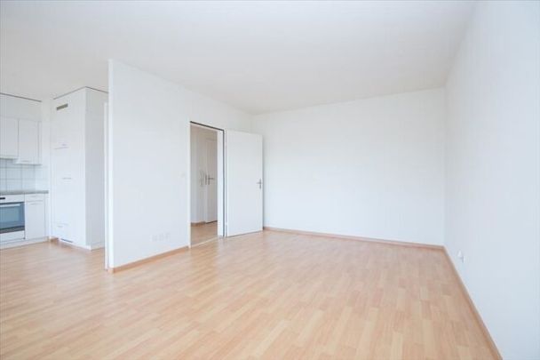 3.5-room apartment in front of the Horburgpark - Photo 1