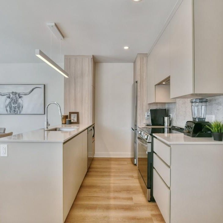 2730 Rue Alexis, app.101, J8B 0G8, Sainte-Adèle - Photo 1
