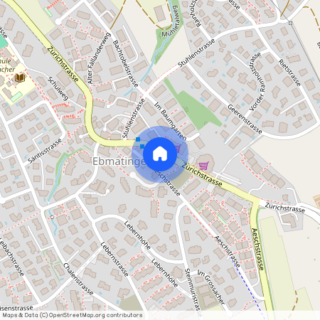 Zürichstrasse 115, 8123, Ebmatingen