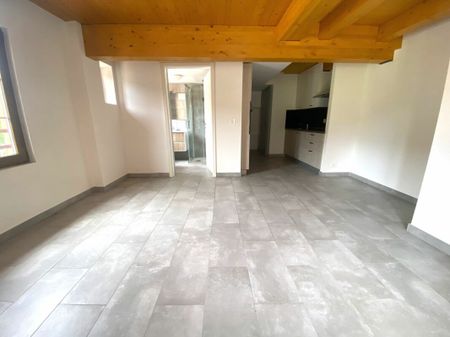 Appartement de 1.5 pièces, rénové récemment. - Photo 4
