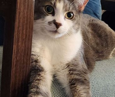 Wolli Creek - Photo 1