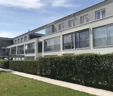 Großzügige 2-Zi-Wohnung mit Wintergarten in Hard zu vermieten! - Photo 2