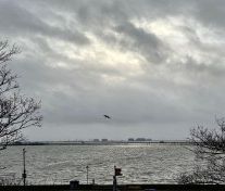 Eastern Esplanade, Southend-On-Sea - Photo 6