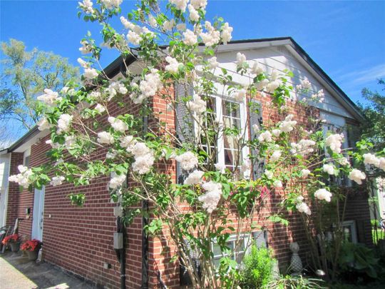 For Lease - 249 Hodgson Drive, Newmarket, Ontario - Photo 1