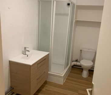 Location Appartement 1 pièce 43m² - Photo 4