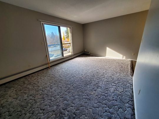 1 Bedroom Unit in Mature Area of Downtown - Photo 1