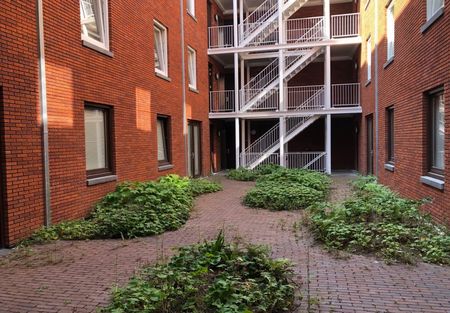 Cornelis Vermuydenstraat 9 - Foto 4