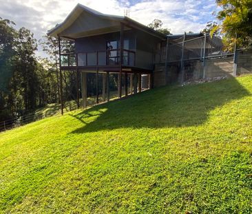 Private House In Beautiful Upper Orara! - Photo 5