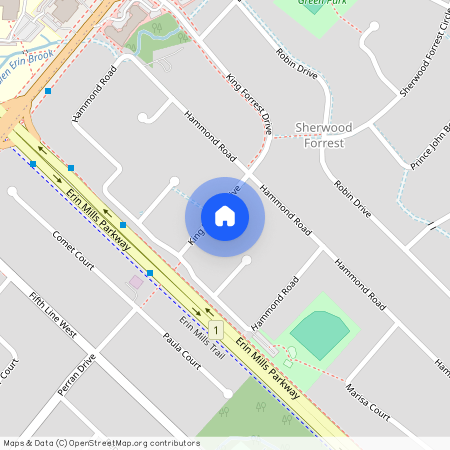 2463 King Forrest Drive, Mississauga