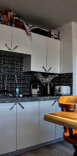 Lumineux 3 ½ Rosemont - disponible 1er novembre - Photo 1