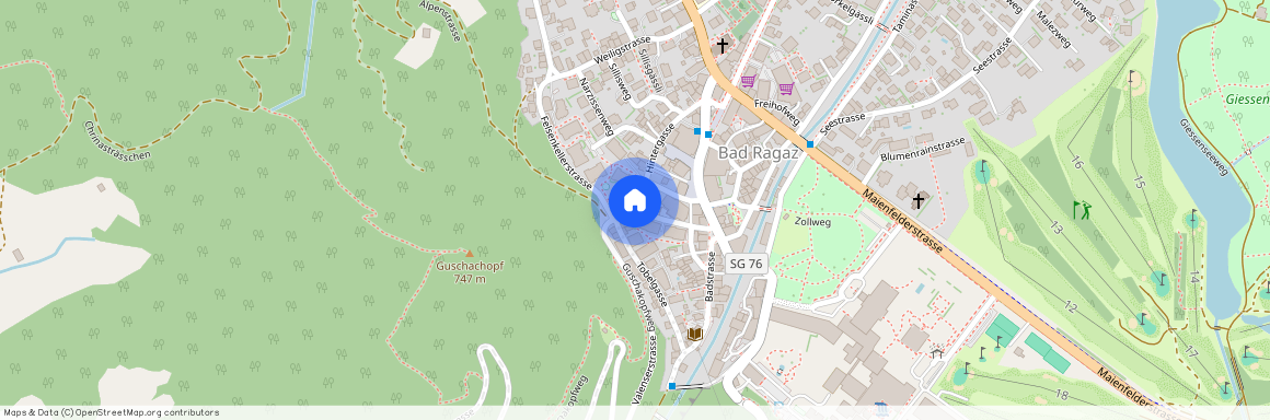 Valenserstrasse 5 a, 7310 Bad Ragaz