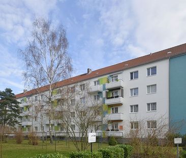 3-Raum-Wohnung Vogelweide 42 - Photo 1