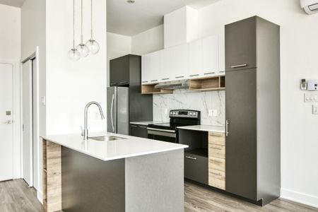 9675 Av. Papineau - Photo 5