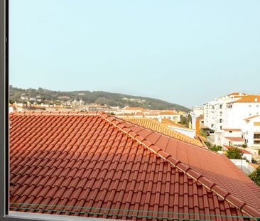 Alcobaça e Vestiaria, Leiria District - Photo 4