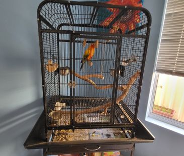 Seville Grove - Photo 4