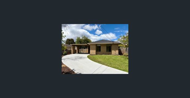 Beautifully Renovated Single-Level Home! - Photo 1