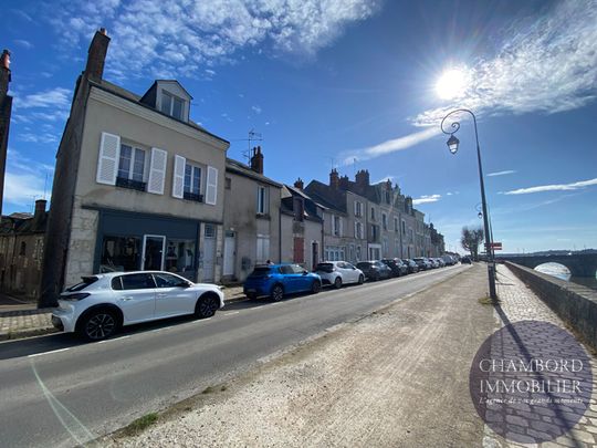 BLOIS - Centre-ville quartier Vienne - T2 - Photo 1