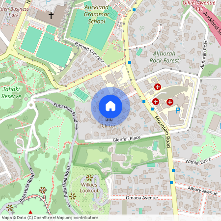 11 Castle Drive, Epsom, Auckland City